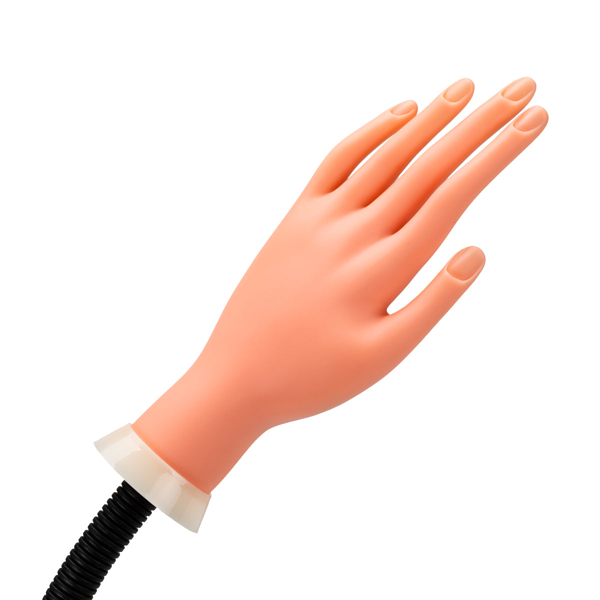 Practice hand shown with tips applied