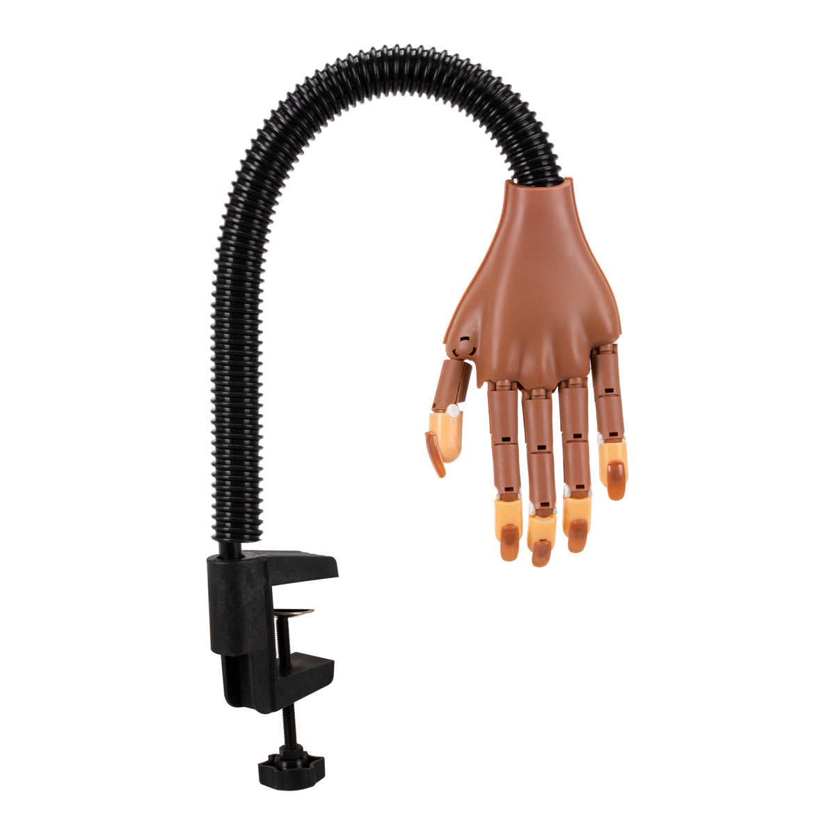Practice hand for nail training with adjustable table clamp